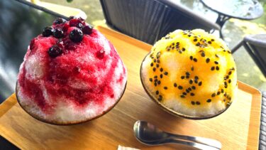 《琉果》本部町備瀬のフクギ並木に佇む県産フルーツを使ったドリンクやかき氷で心も体もデトックスして癒される。